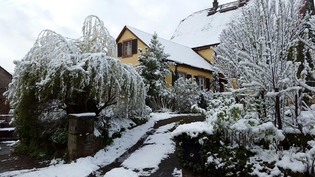 Gastehaus Zum Alten Schulhaus Hotel Miltenberg Luaran gambar